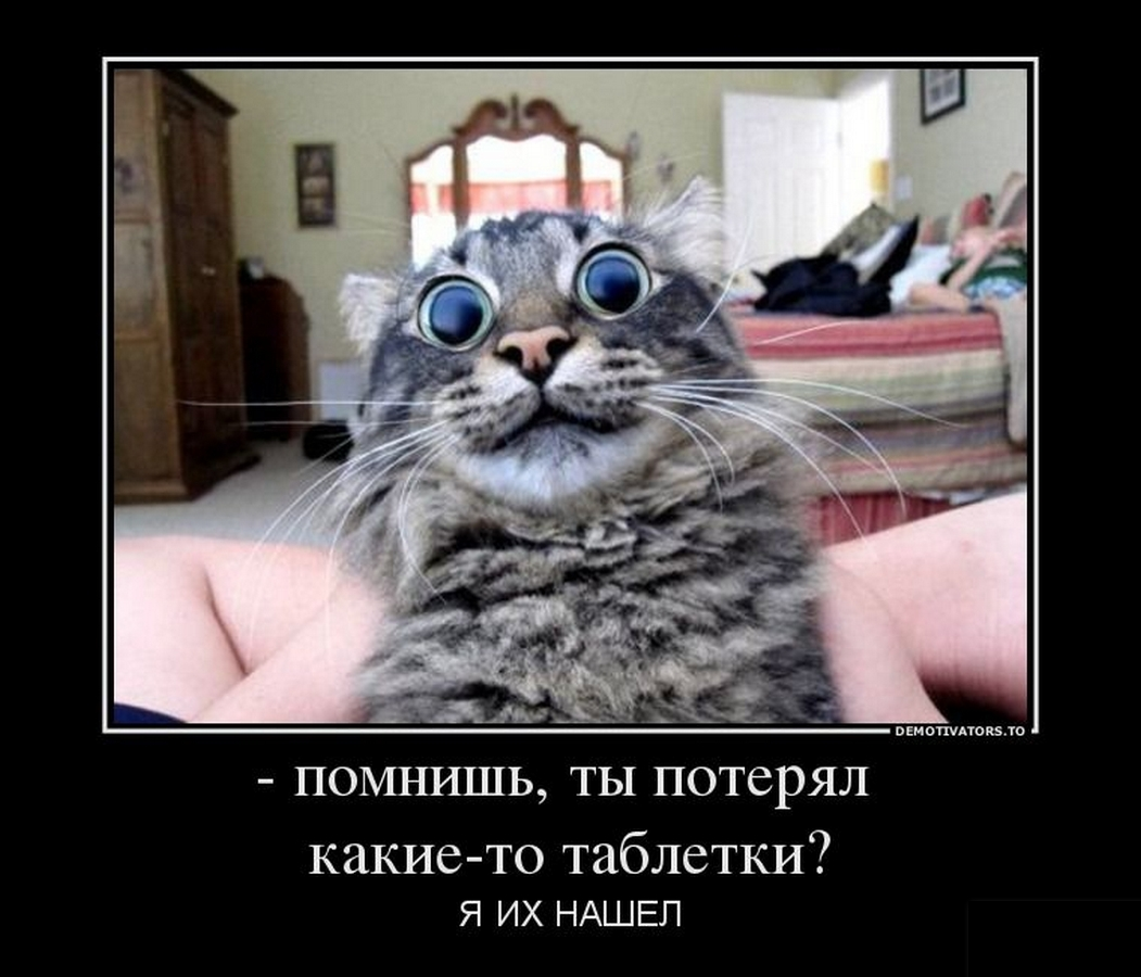 003 (4).webp