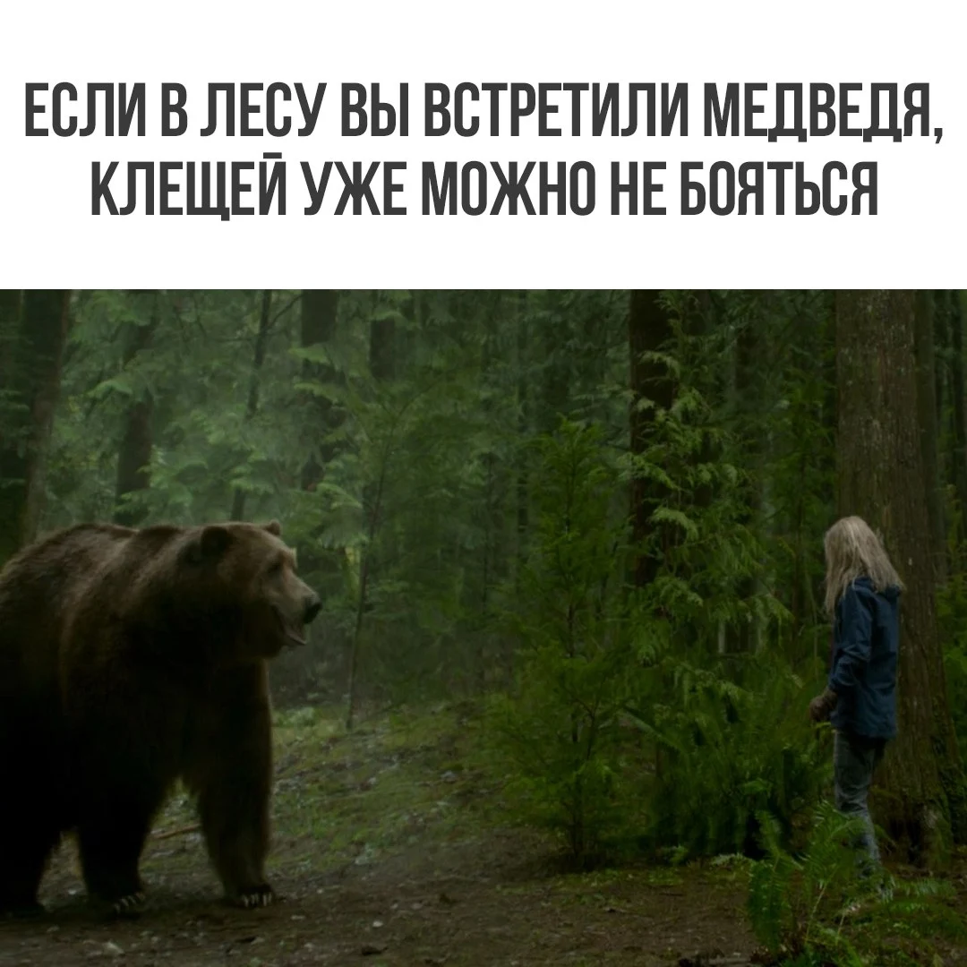 01.webp