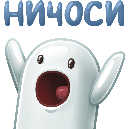 0479e08f8e852d.webp