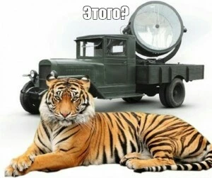 04cecc5efe1436f4efc91e49bcbbdecd~01.webp
