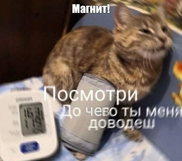 057d25e58baf41d0acb95fbc7d2dc7f1.webp
