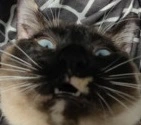 06302aed.webp