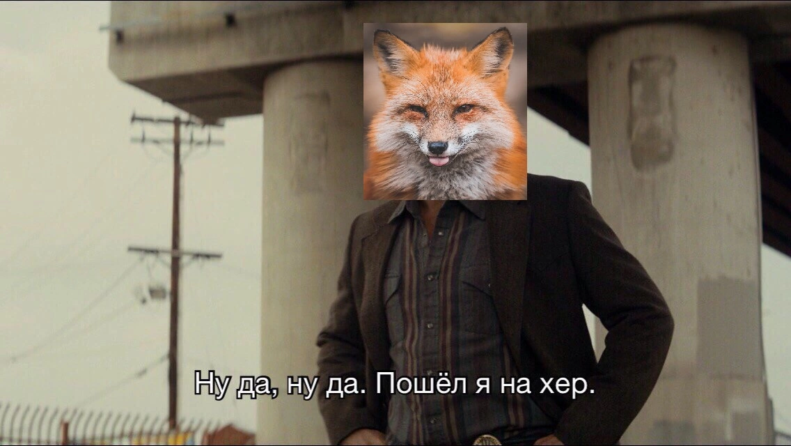 06688244.webp
