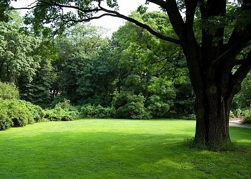 070414_green_lawns_2.webp