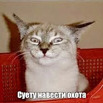 08f63feb-43bb-4533-9d85-0f4348e1e32d.webp