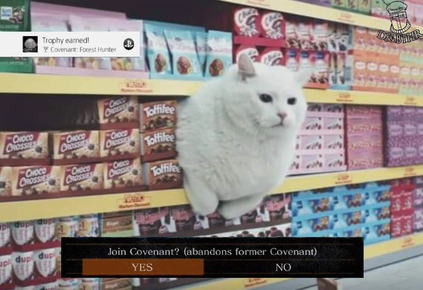 0uSQfMbFq_g.webp