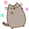 1 (1).webp