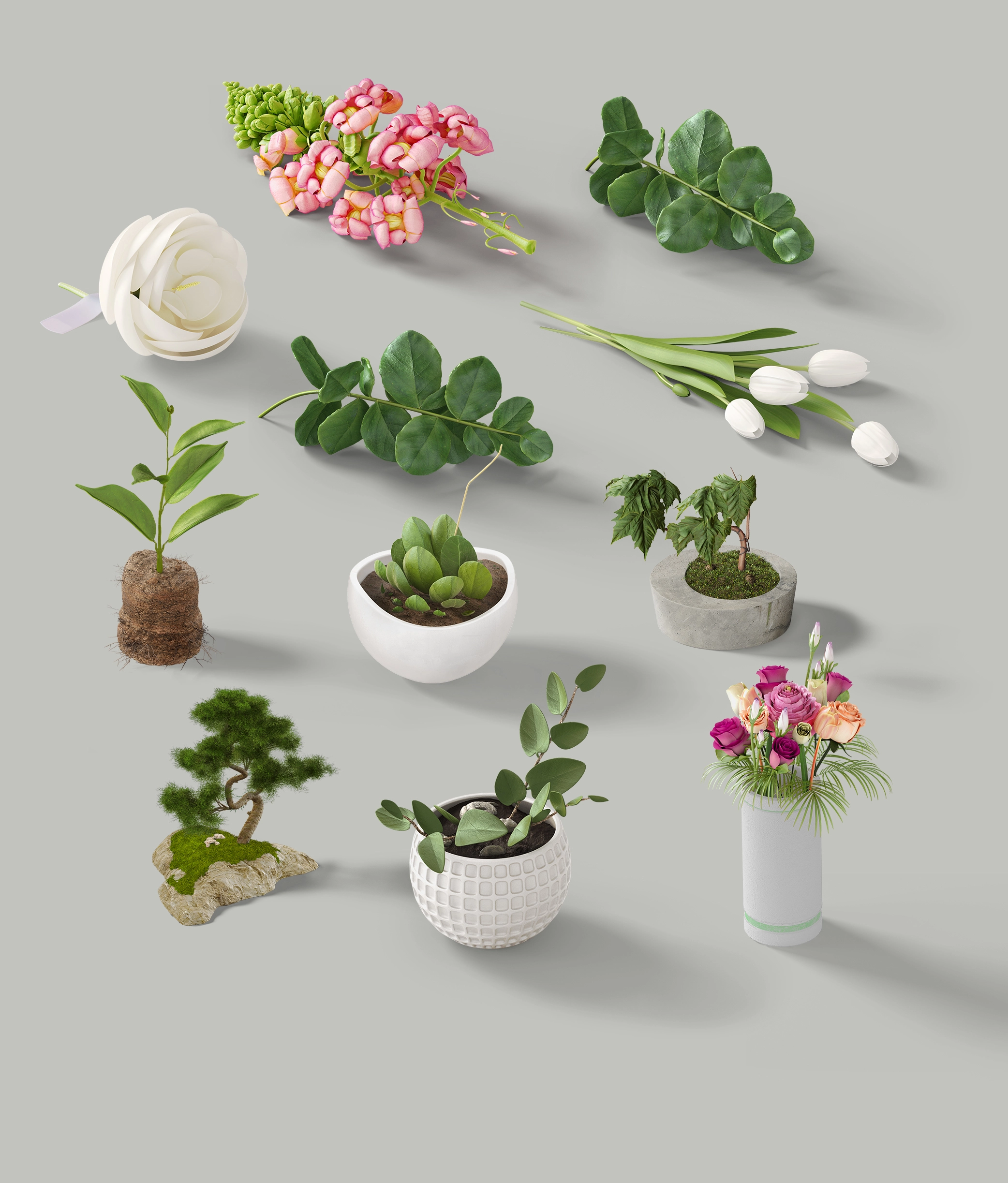 [1] Plants _ Flowers (2).webp
