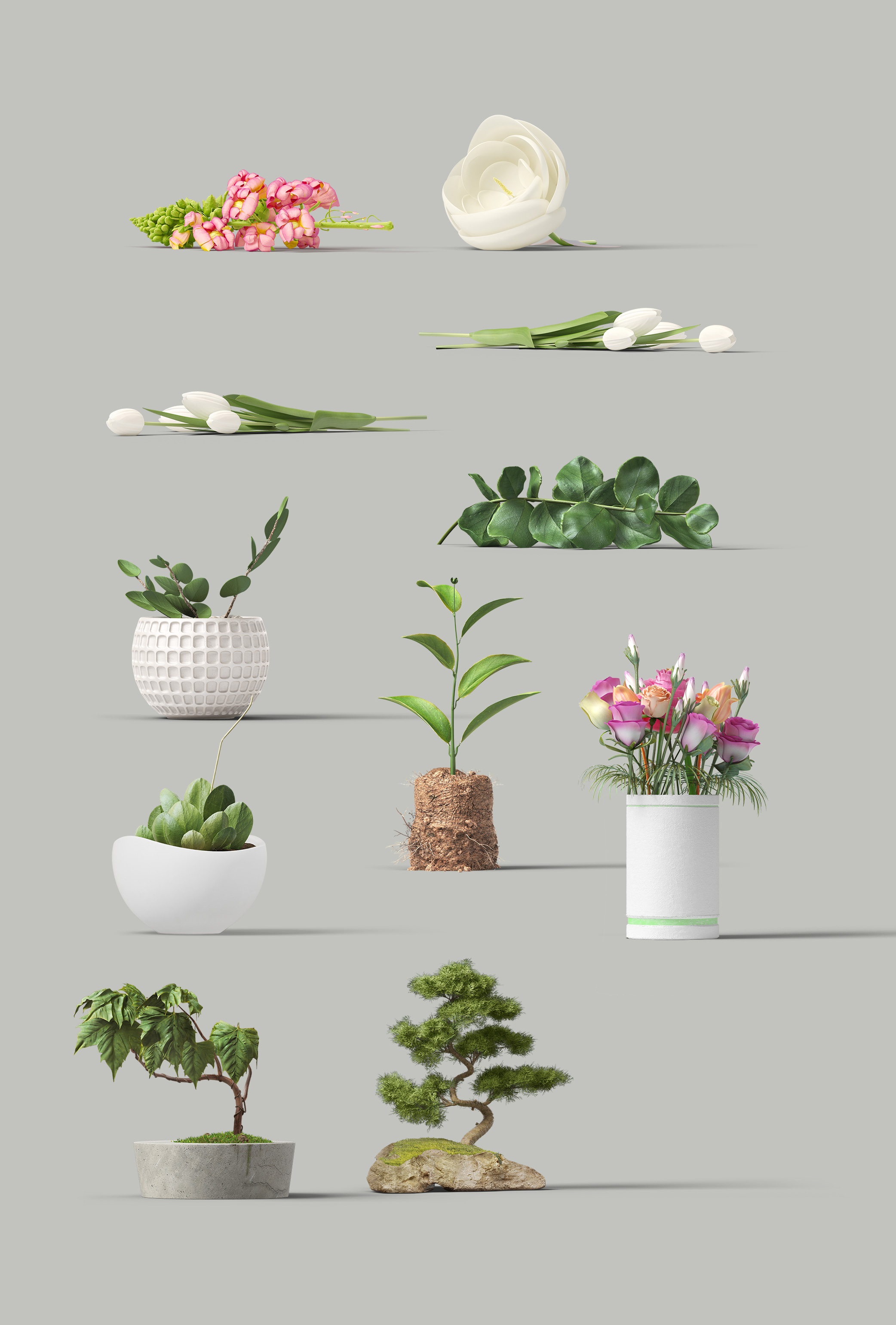 [1]-Plants.jpg