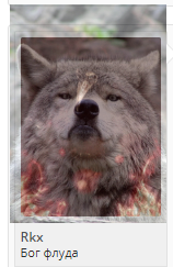 1.webp