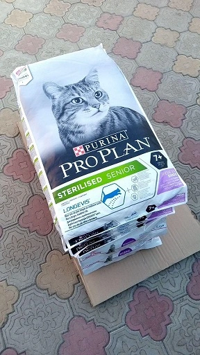 1.webp