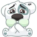 1.webp