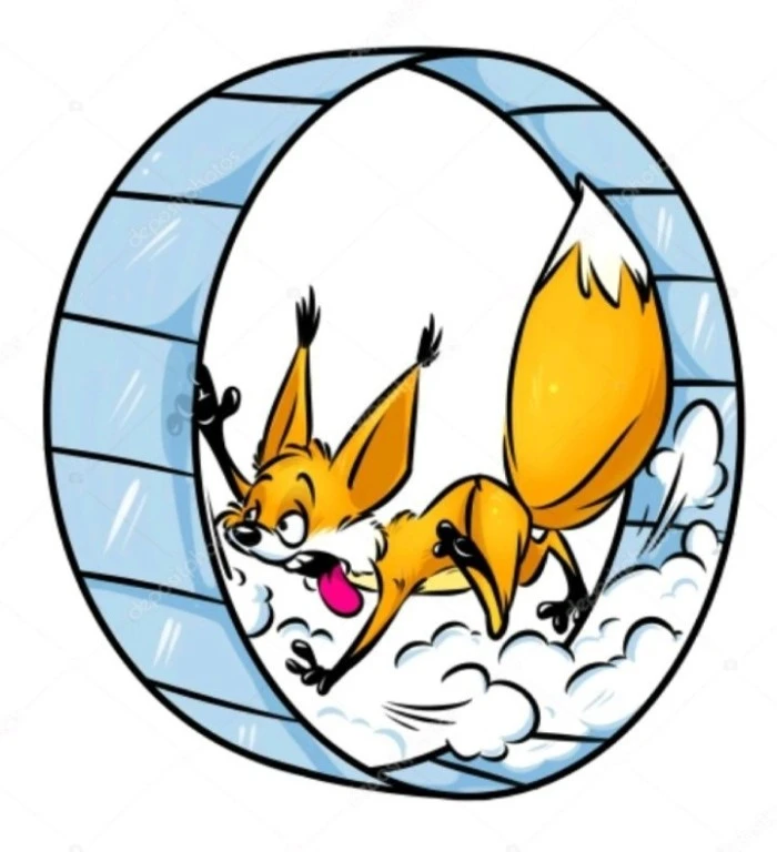 1.webp