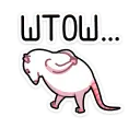 1.webp