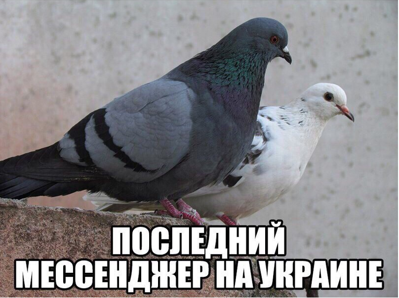 1.webp
