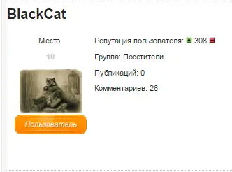 10 место.webp