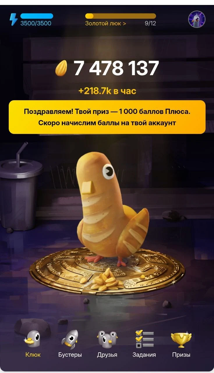 1000.webp