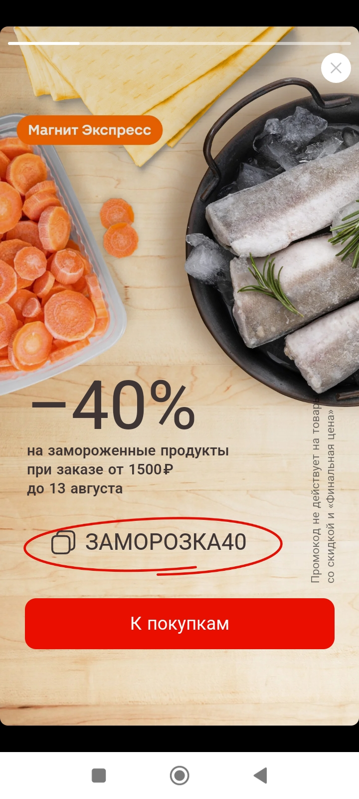 1000000164.webp