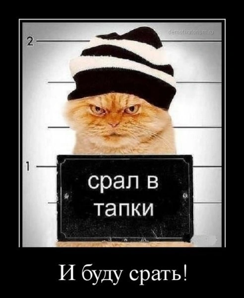 1000000322.webp