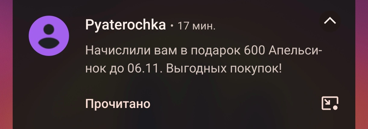 1000001204.webp