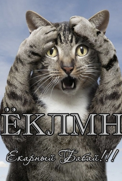 1000002819.webp