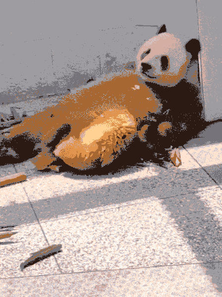 1000005954.gif