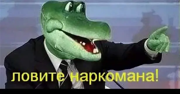 1000008040.webp