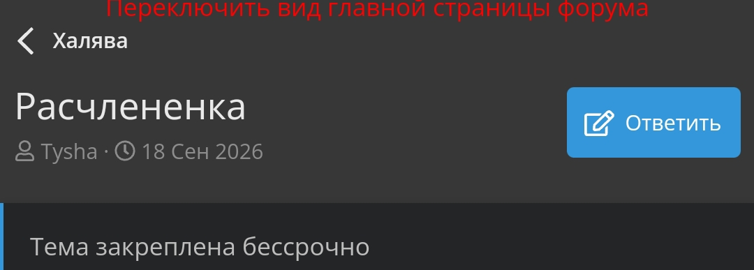 1000008676.webp