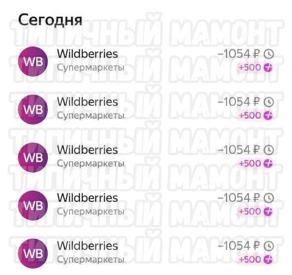 1000010176.webp