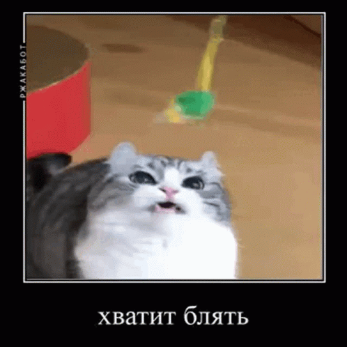 1000011205.gif
