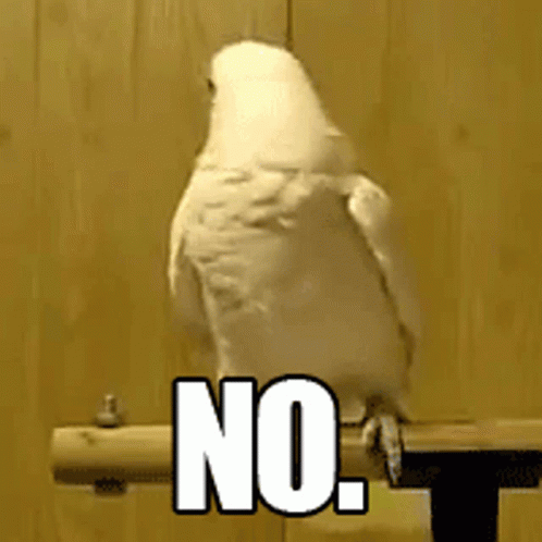 1000011206.gif