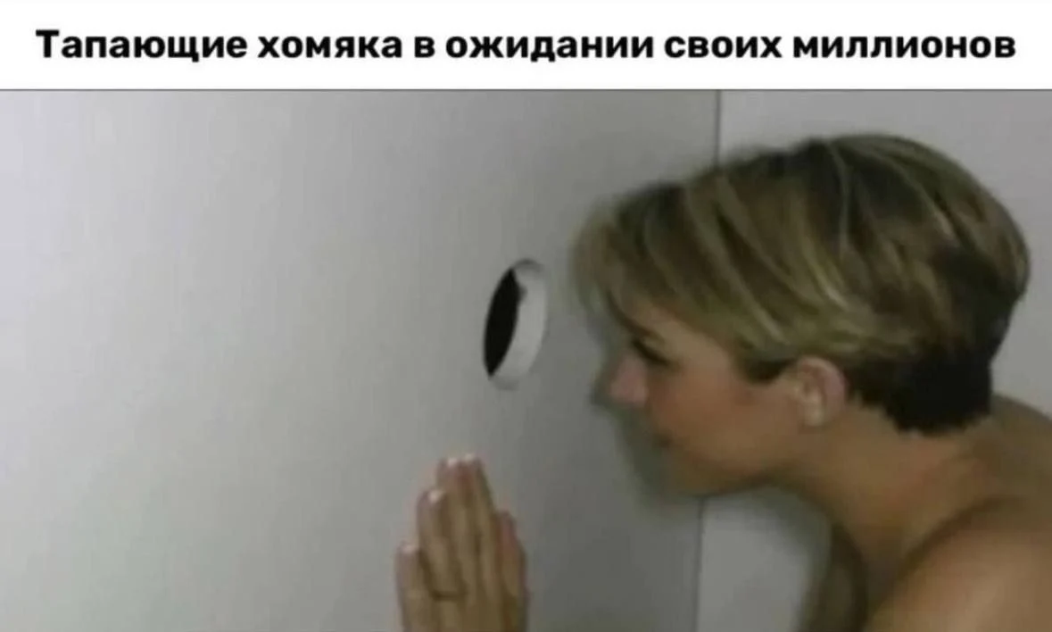 1000013164.webp