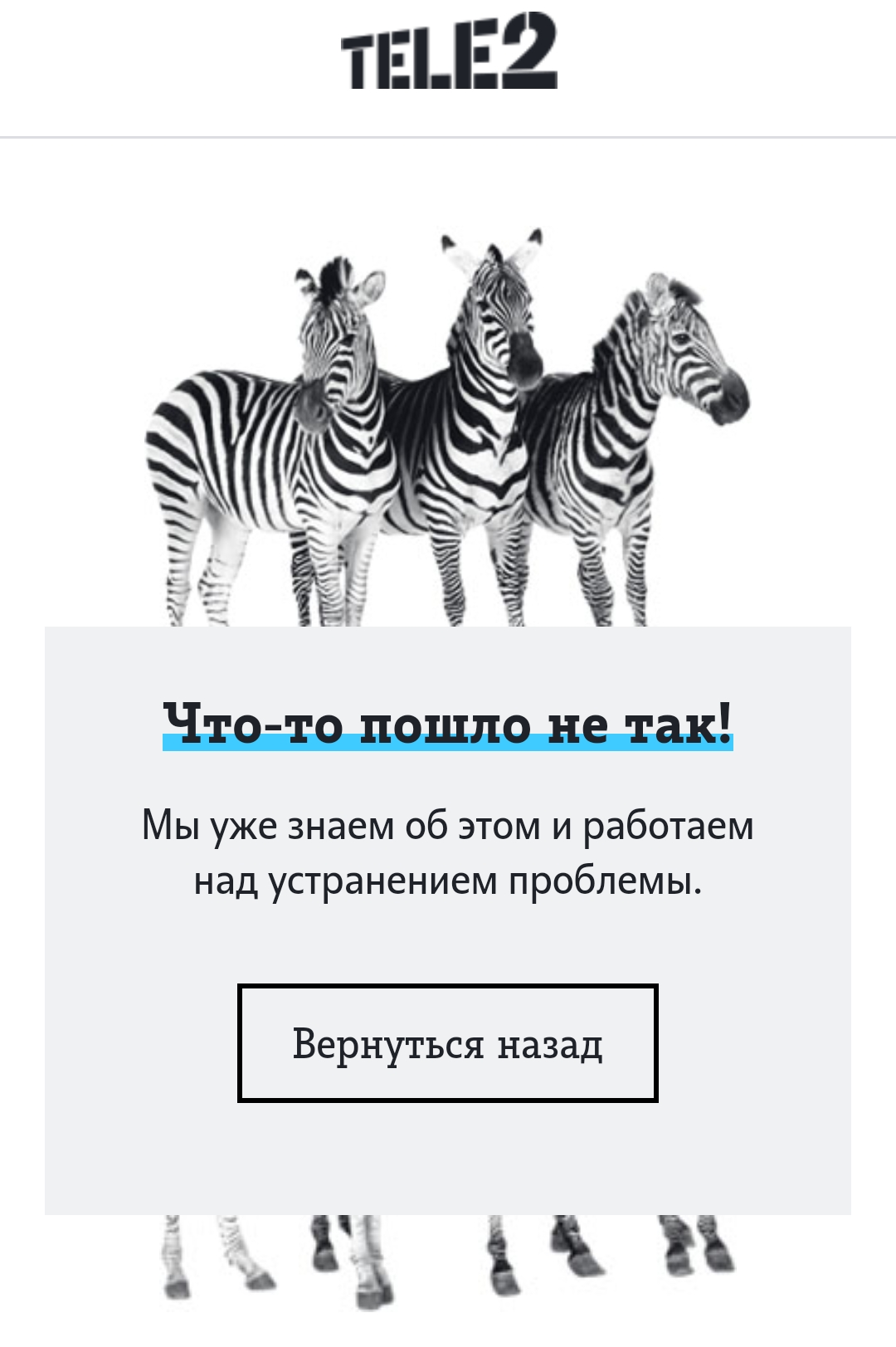 1000013306.webp