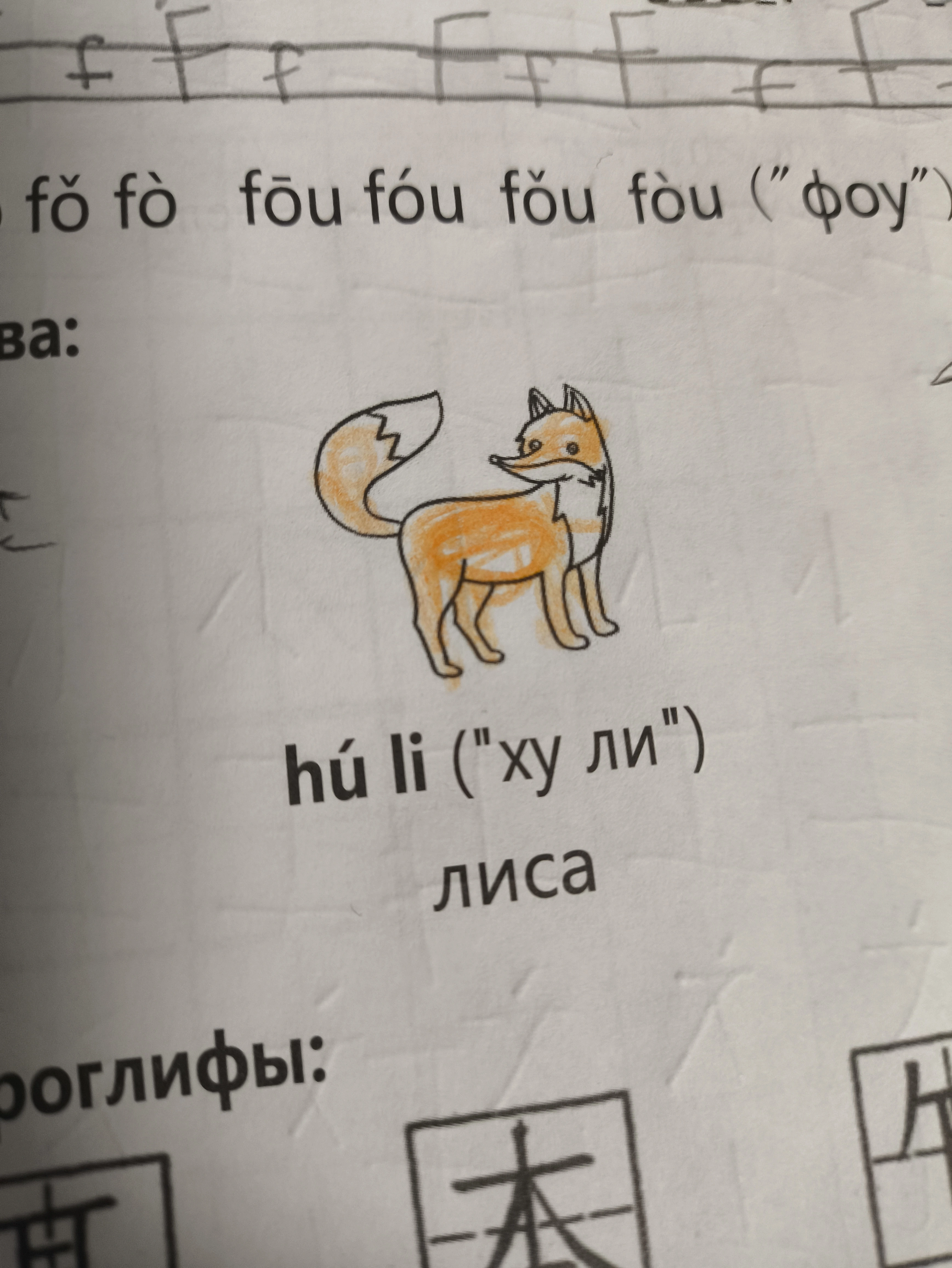 1000013710.webp