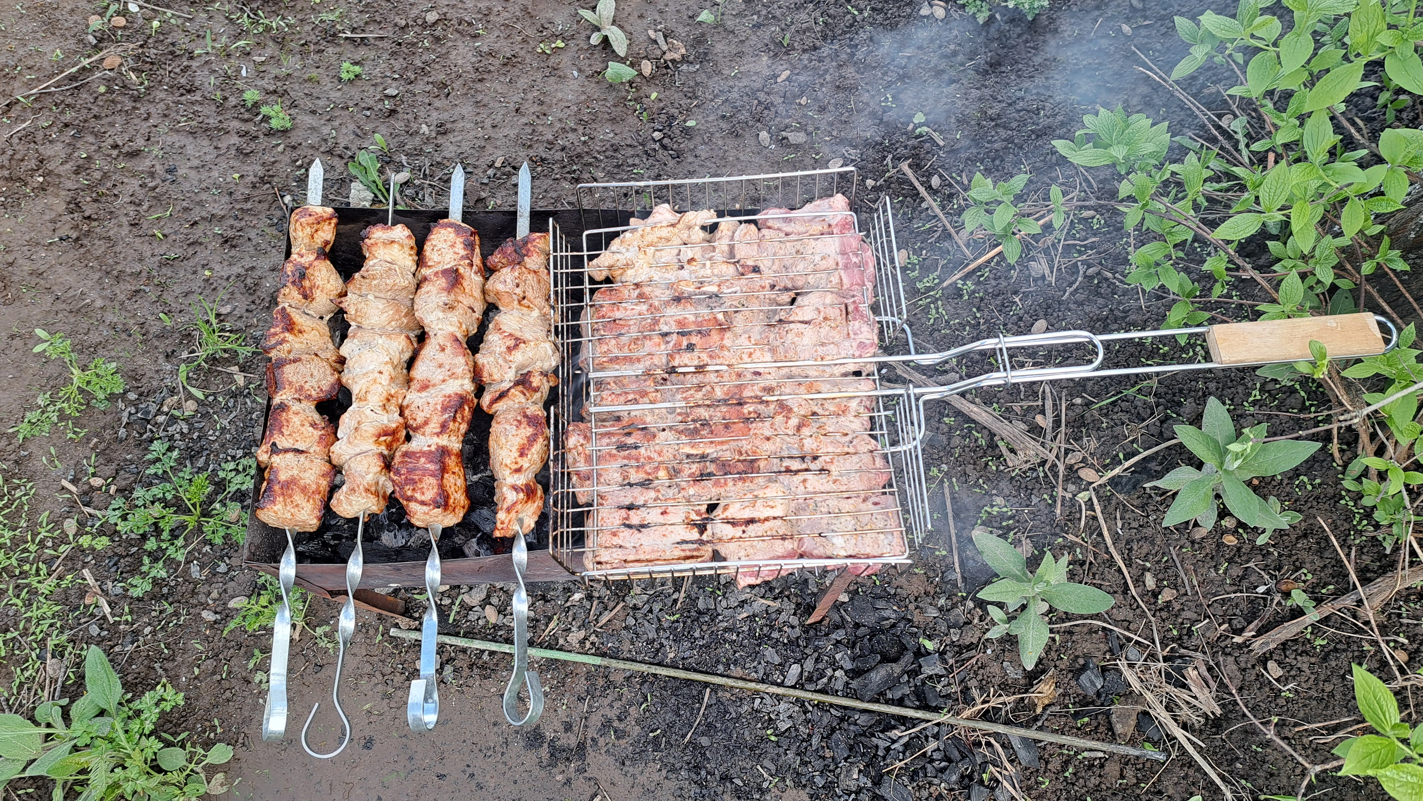 1000015013.webp