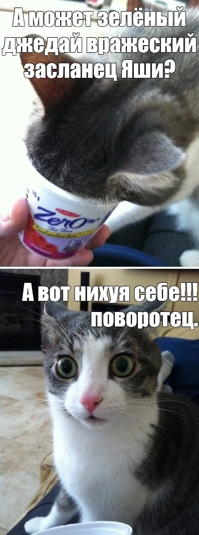 1000016067.webp