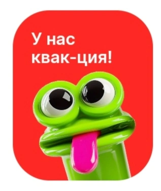 1000017325.webp
