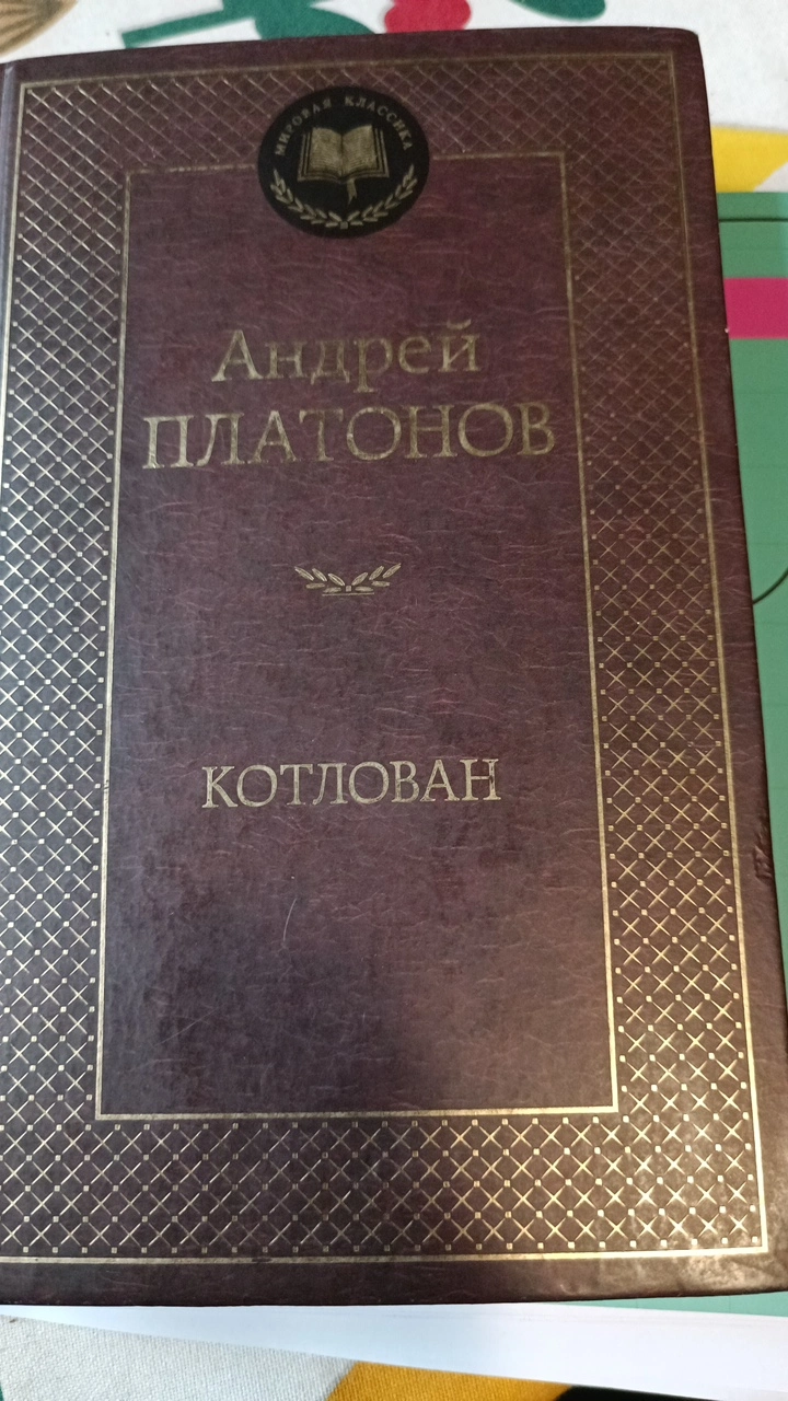 1000019118.webp