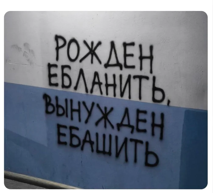 1000019638.webp