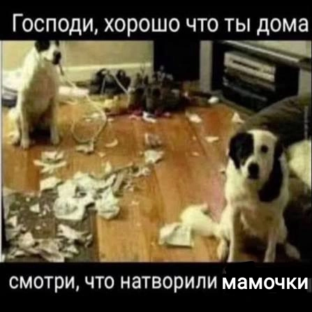 1000028513.webp