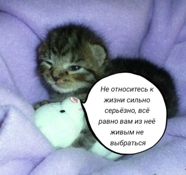 1000028588.webp