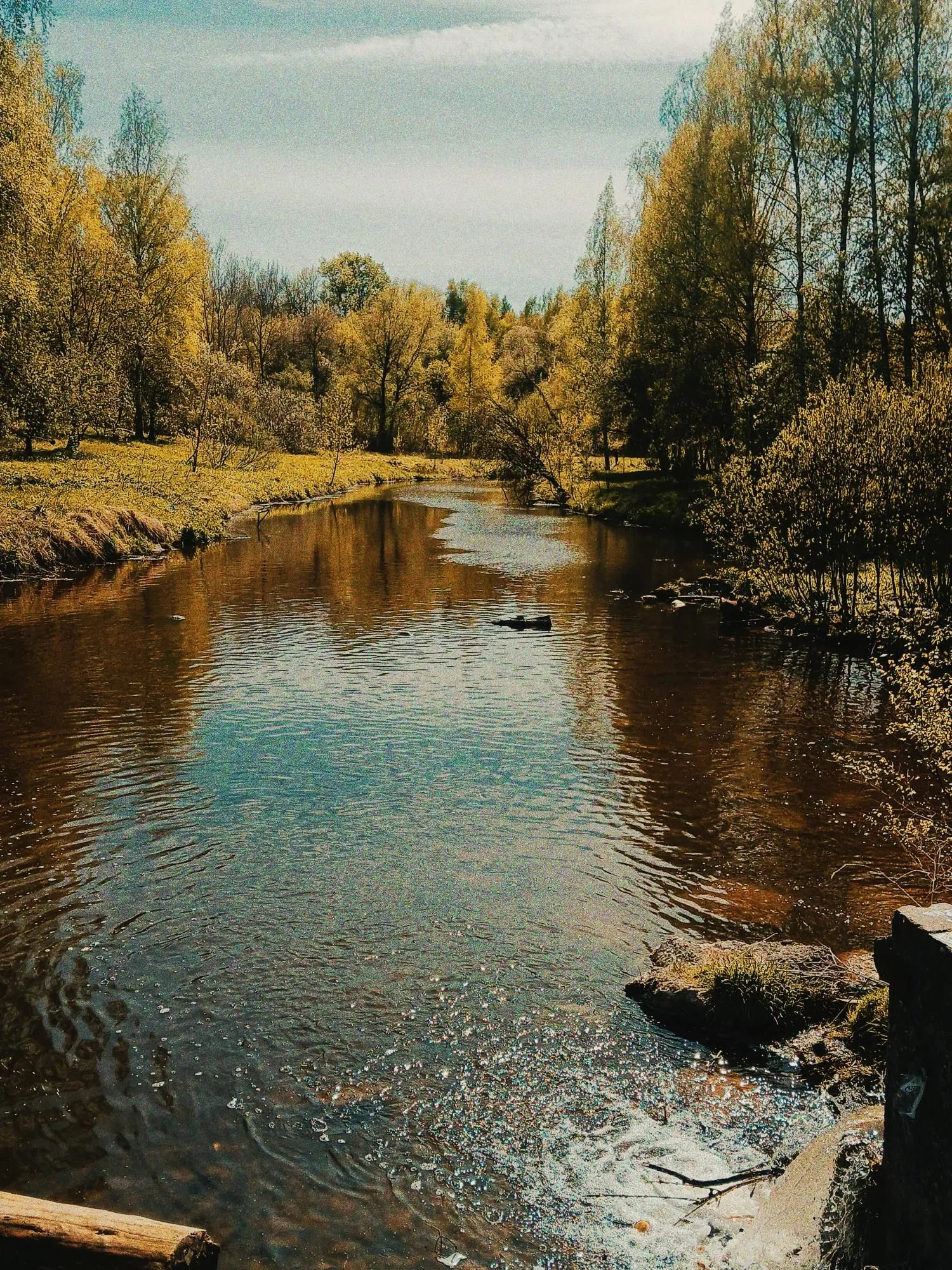 1000028621.webp
