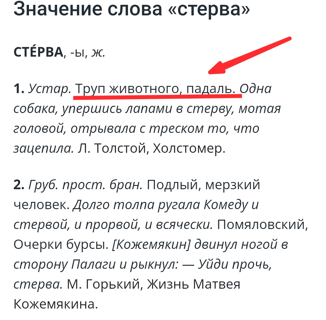 1000028960.webp
