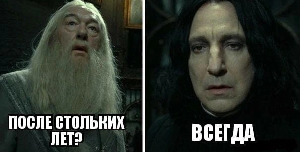 1000032275.webp