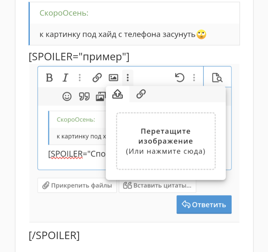 1000040647.webp