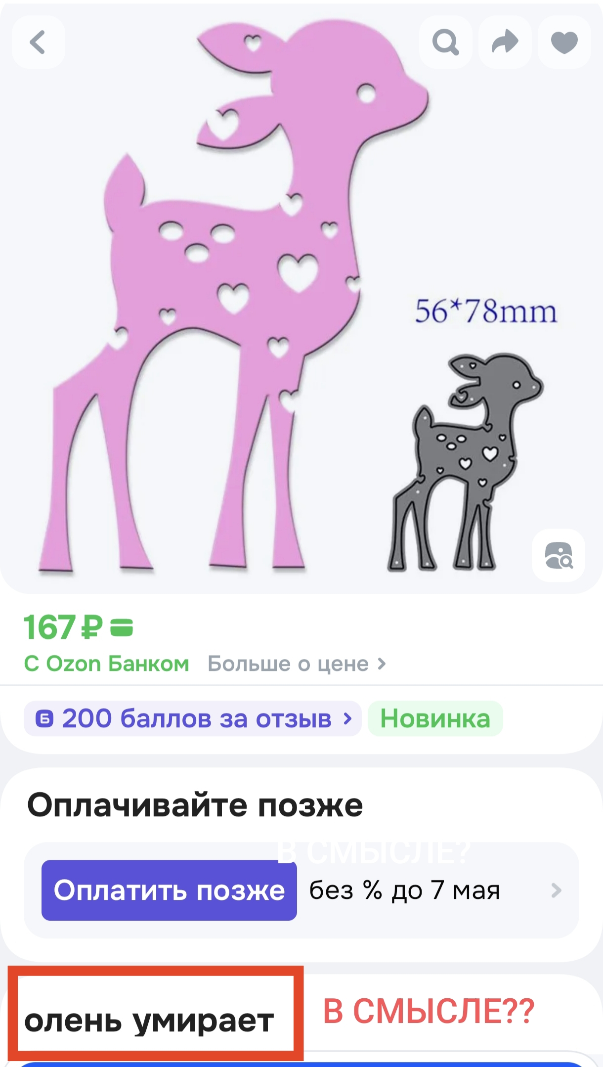 1000041182.webp