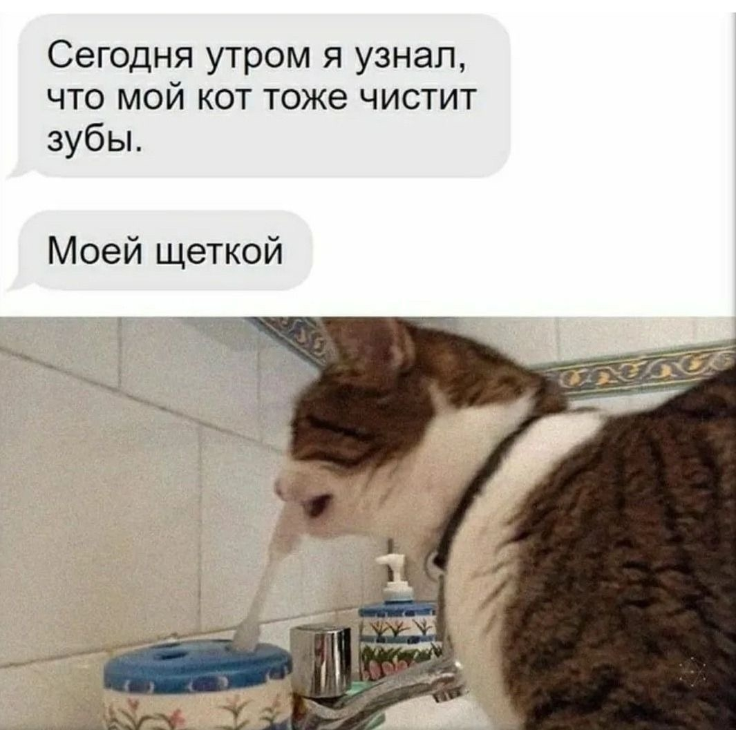 1000045082.webp