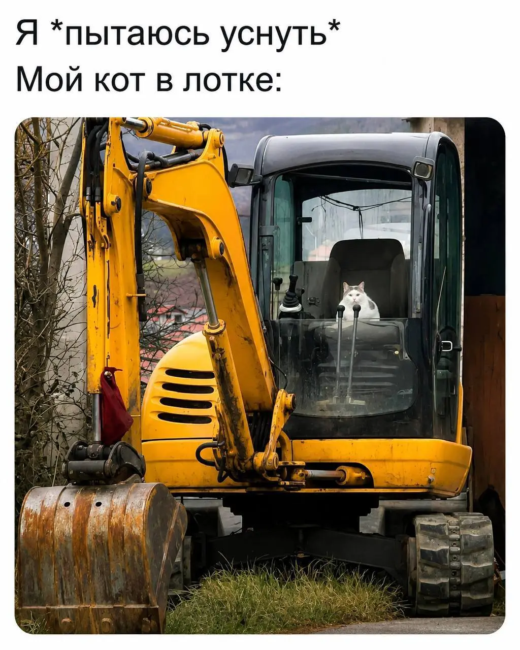 1000045083.webp