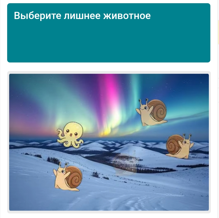 1000045482.webp