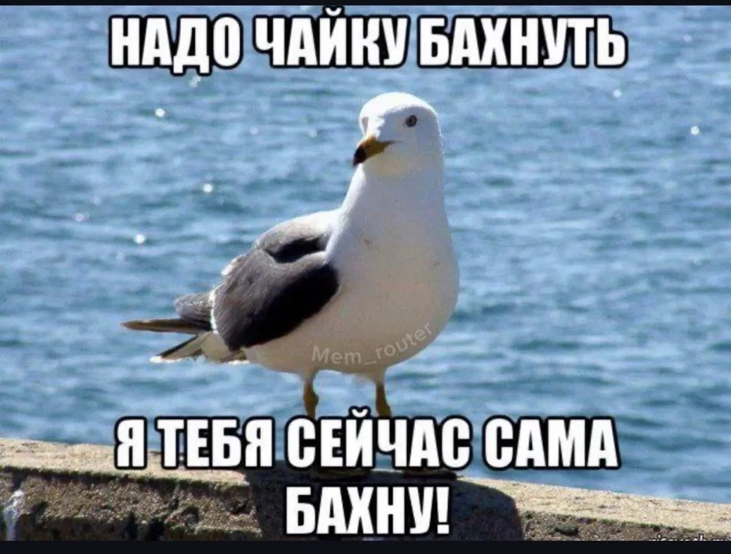 1000046166.webp